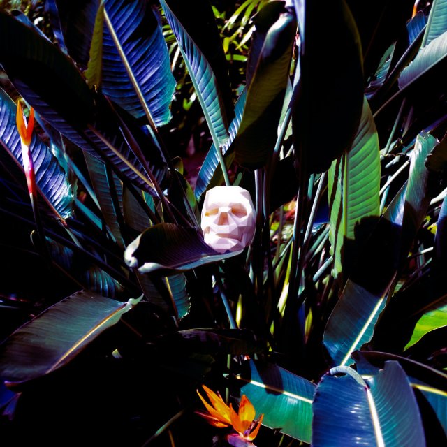 Ricardo Remédio - Natureza Morta