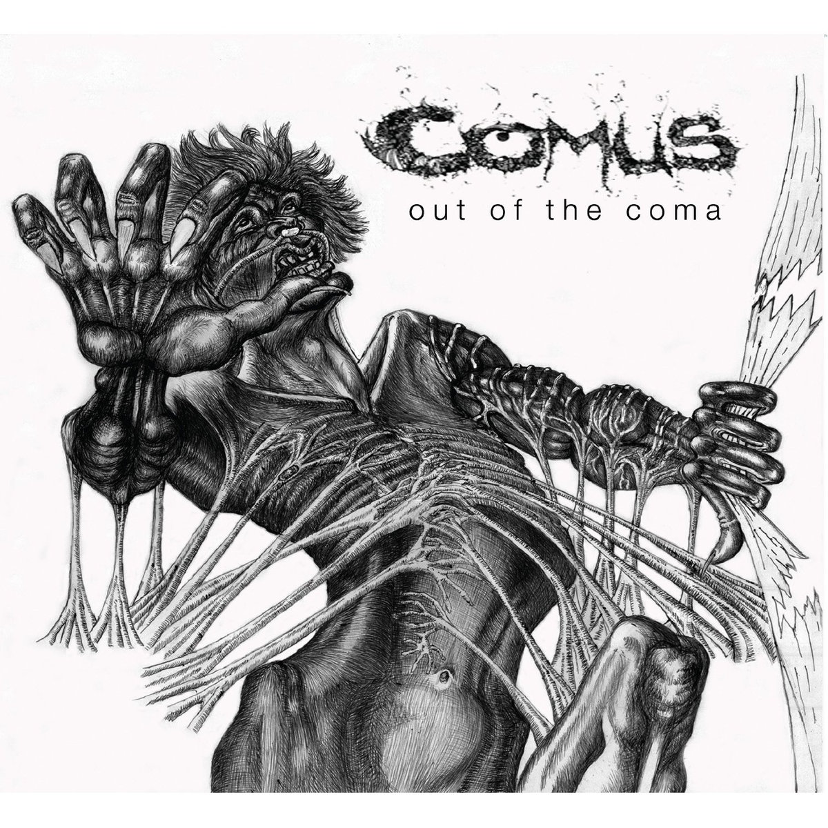 comus
